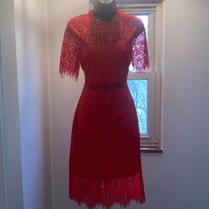 Lulus remarkable lace dress
